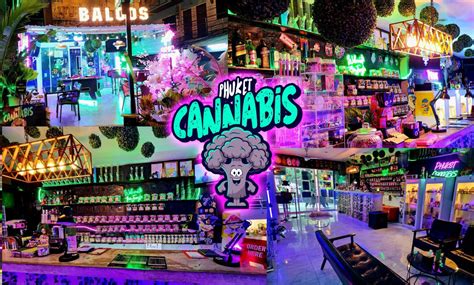 marijuana rehab phuket|Cannabis in Phuket .